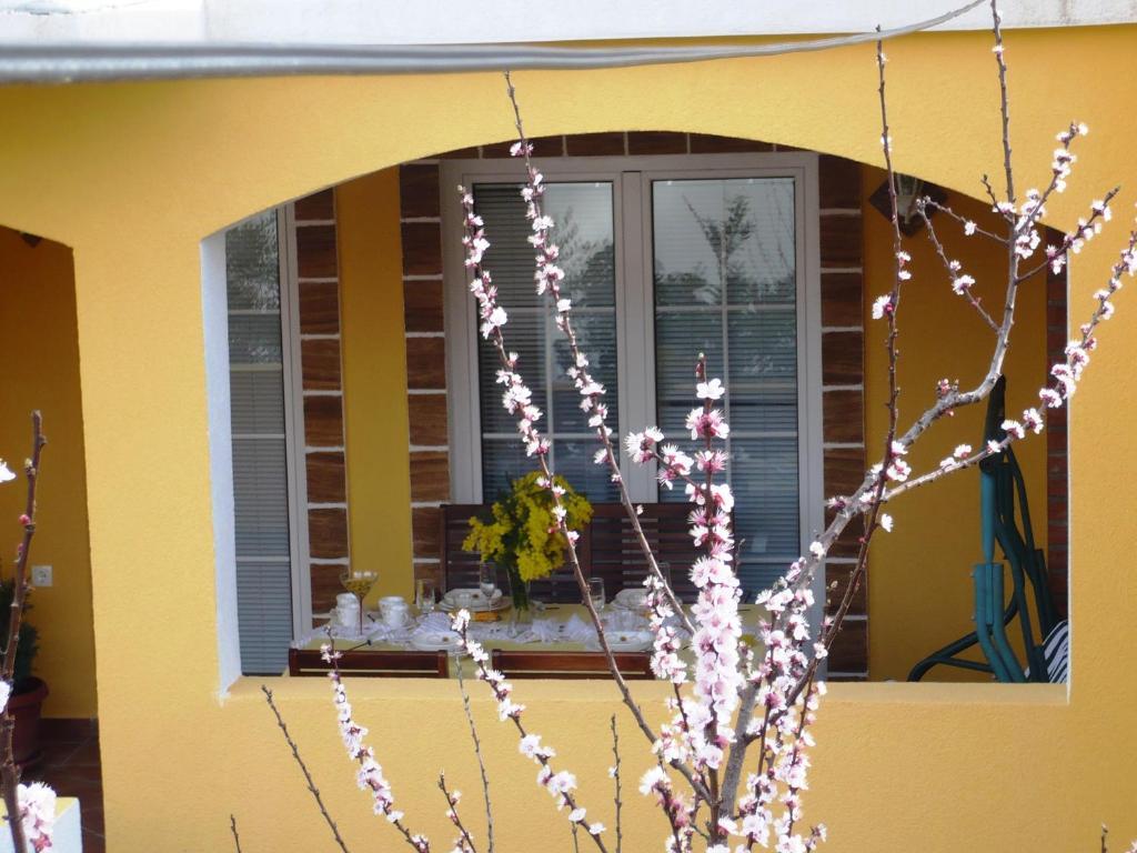 Apartments Brac Supetar Chambre photo