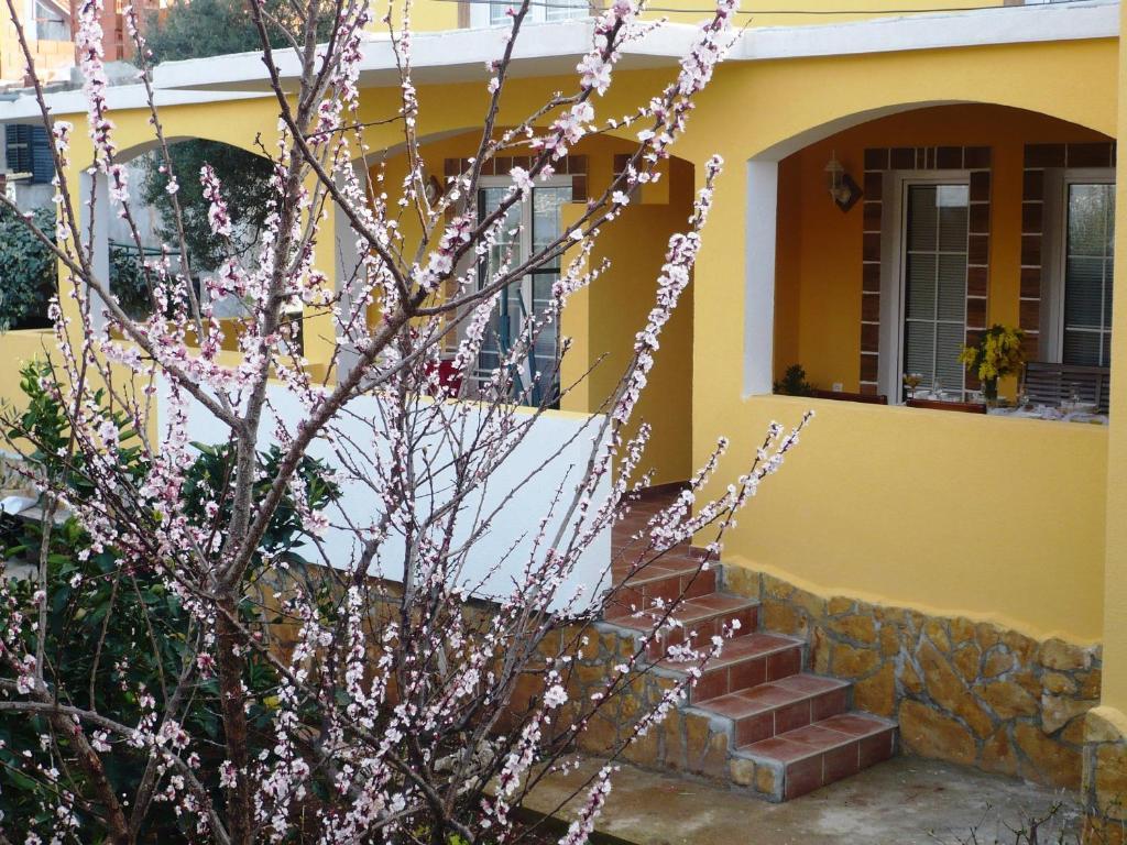 Apartments Brac Supetar Extérieur photo